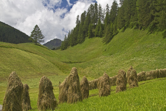heumandln在südtirol