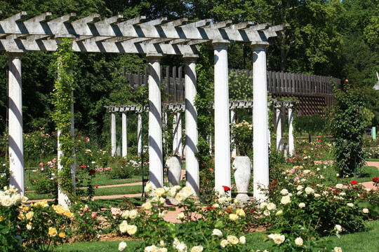 公園