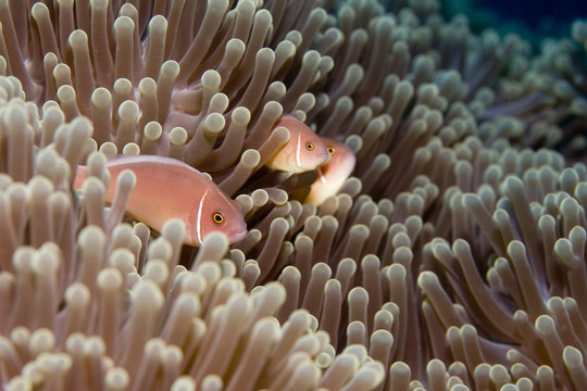 水族館