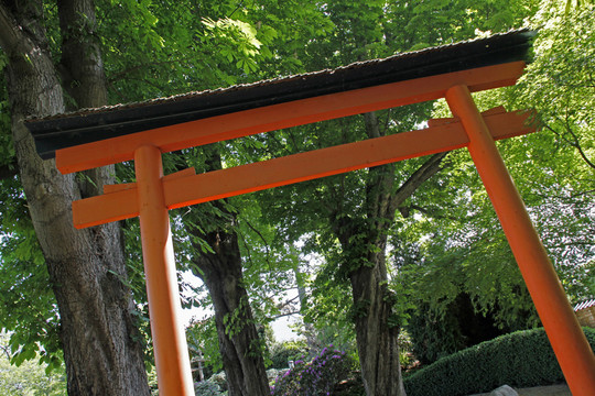 日落花園在壞langensalza