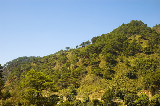 山