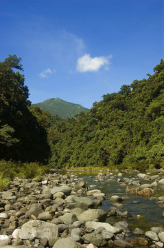 風(fēng)景
