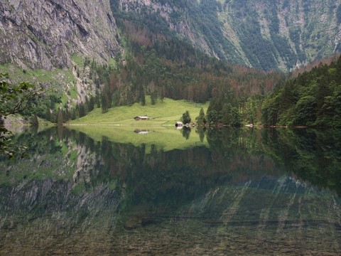 obersee  - 反射