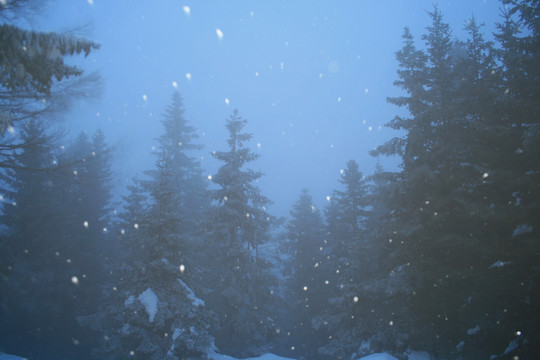 暴風雪