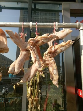 咸豬腳