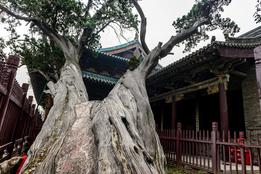 晉祠