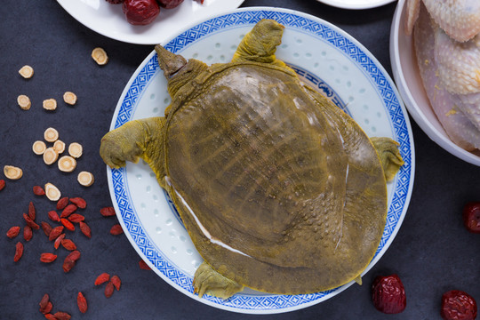 水魚雞湯