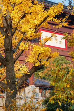 黃鶴樓公園