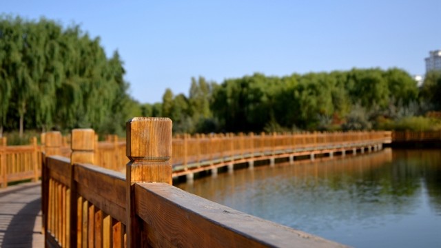 甘肅高臺國家級濕地公園