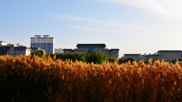 甘肅高臺國家級濕地公園