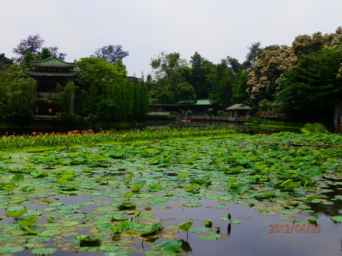 荷