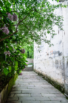 唐模古村小巷