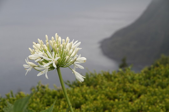 海岸線