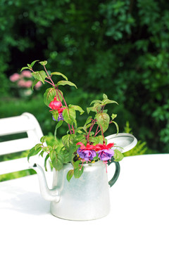 花園