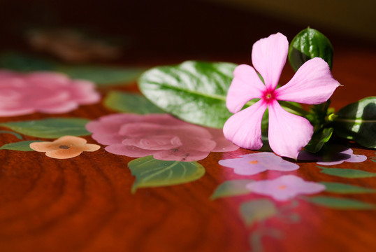 藍(lán)色