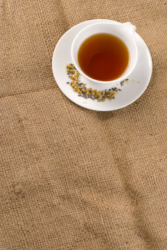 針術(shù)
