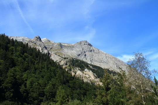 山