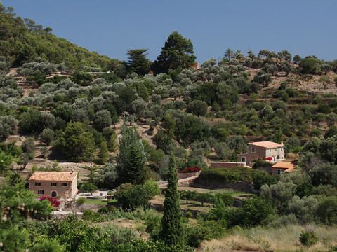 Serra de Tramuntana