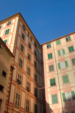 城市