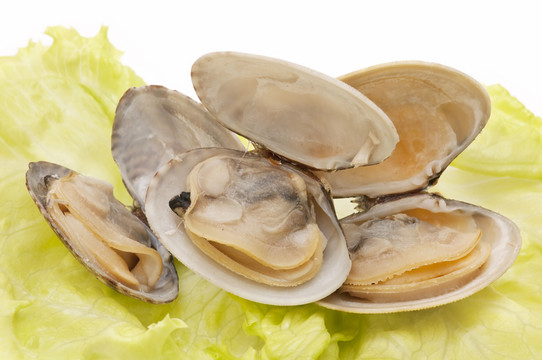 海產(chǎn)食品