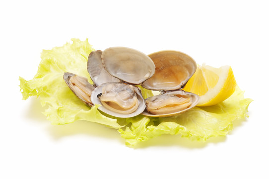 海產(chǎn)食品