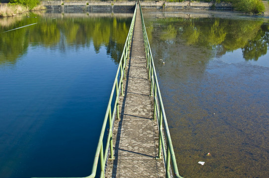 公園