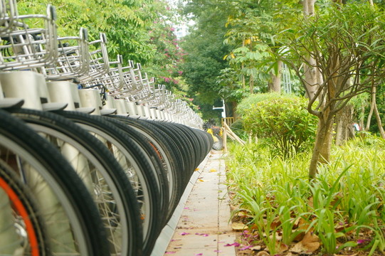 公共自行車租賃設(shè)施