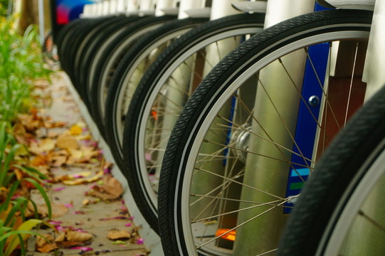 公共自行車租賃設(shè)施