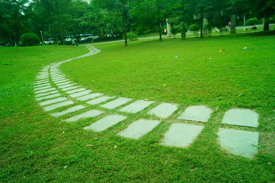 綠色草坪