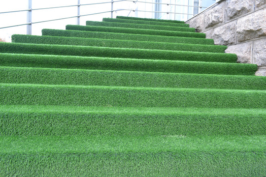 草坪階梯 草坪