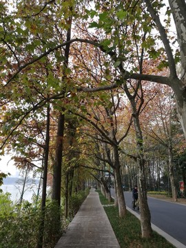 秋天景色