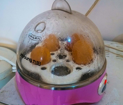 毛毛蟲(chóng)蒸蛋器