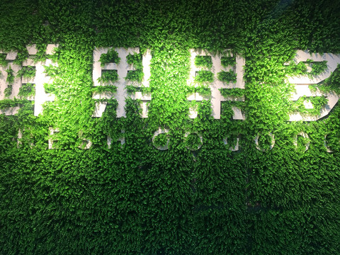 植物墻 水果店