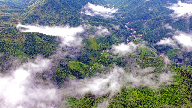 云霧山中
