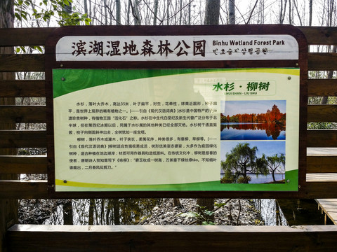 防腐木標牌