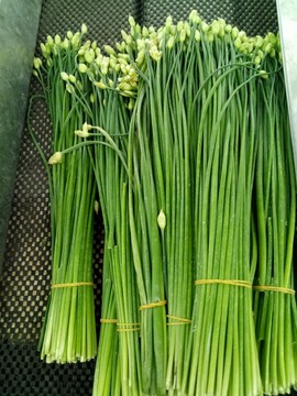 韭菜花