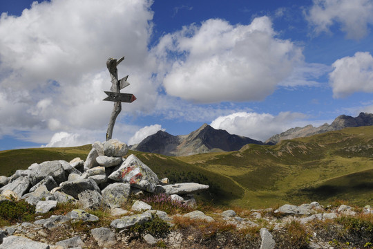 山