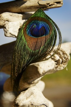 幻想