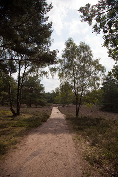 小路