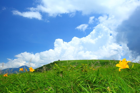 環(huán)境