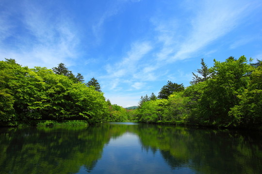 亞洲