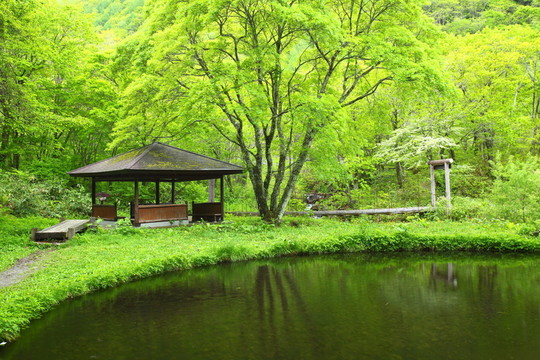 環(huán)境
