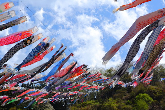 文化