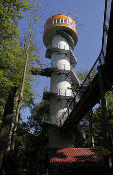 在hainich國家公園的baumkronenpfad