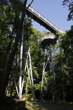 在hainich國(guó)家公園的baumkronenpfad