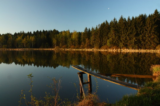 teichlandschaft