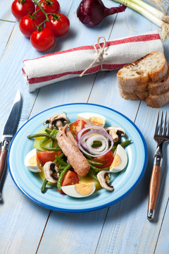 在板材的法國沙拉nicoise