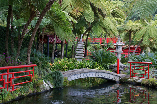 蒙特宮殿熱帶花園