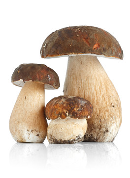 蔬菜
