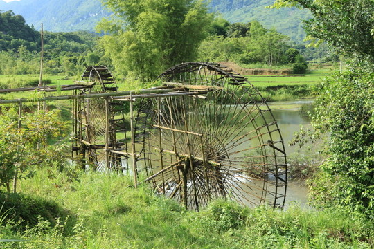 水稻梯田